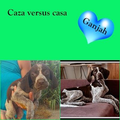 Un correo que me hizo llorar de emoción