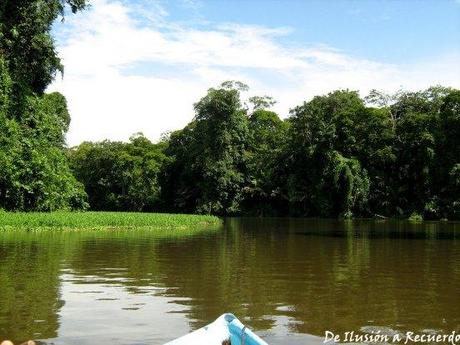 Tortuguero, la perla de Costa Rica