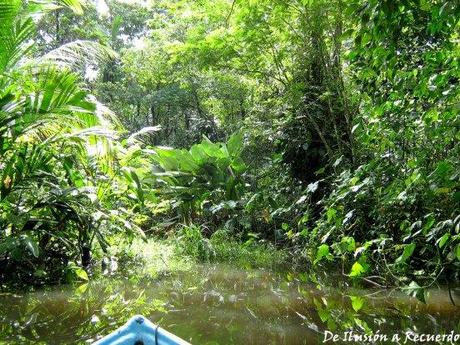 Tortuguero, la perla de Costa Rica