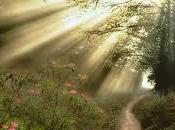 Caminos Dios