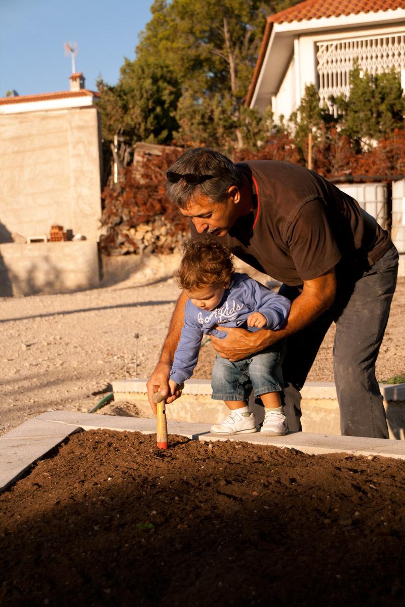 plantando