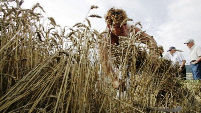 15 octubre, Día de la Mujer Rural