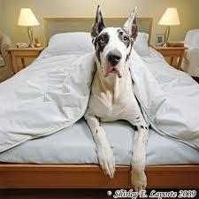 LA VIRTUD DE LA PACIENCIA