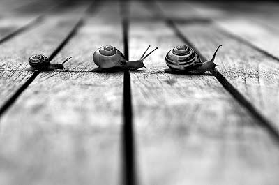 LA VIRTUD DE LA PACIENCIA