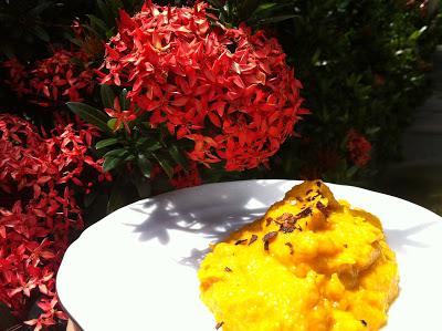 Puré de Calabaza-Ayote con Merquén.