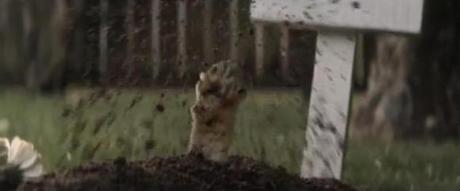 toyota corolla 2013 Un gato que se enamora de un coche y hace lo posible por montarse en él