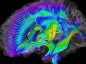 Alargar vida siendo feliz