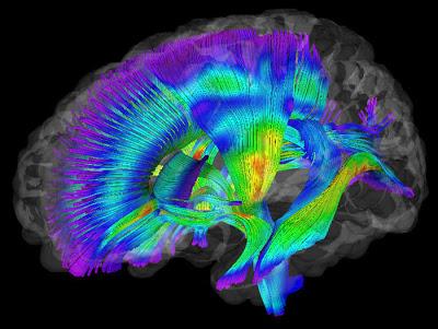 Alargar la vida siendo feliz