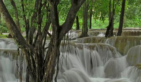 Cascadas Tad Sae, Laos