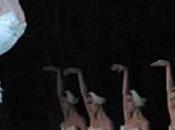 danza toda