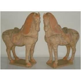 Una gran desconocida...