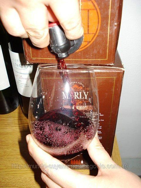 ¿QUÉ ES UN VINO ORGÁNICO?