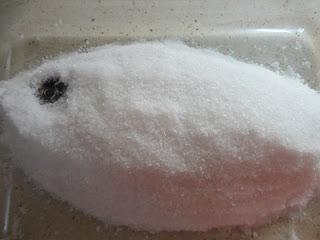 Cómo hacer una Dorada a la Sal