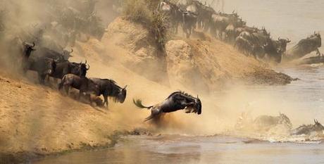 Decálogo vital ante la quiebra del dinero fiat.