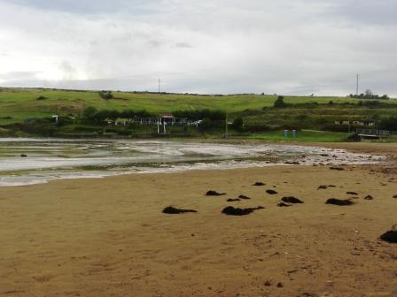 Chorlitejos y lavanderas