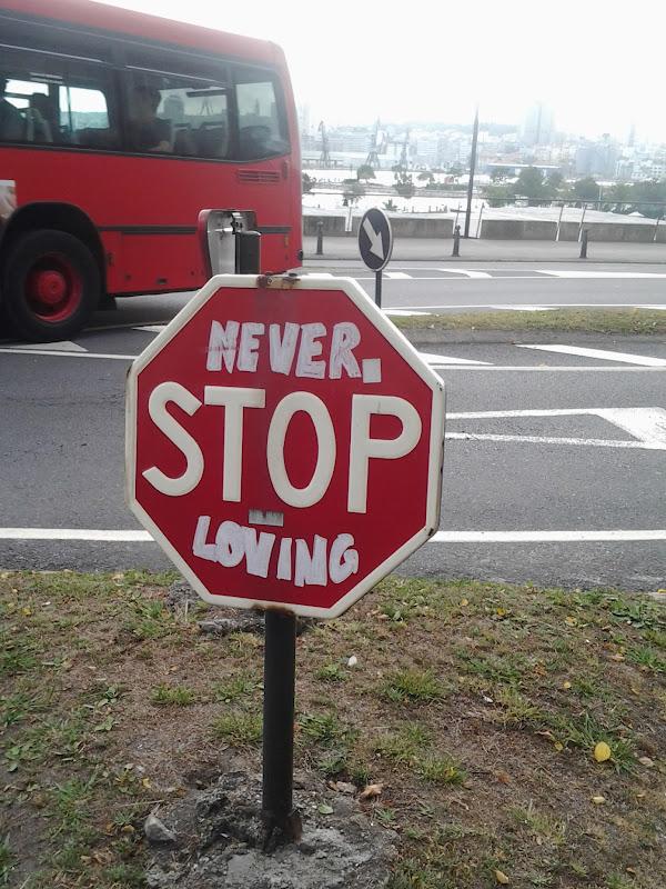 Algodóndeazucaradicta