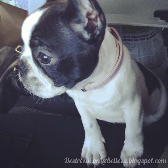 Nails of the week + SORPRESA!!