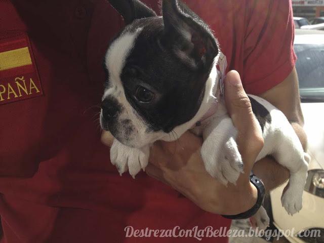 Nails of the week + SORPRESA!!