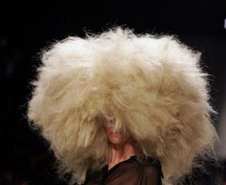 LA BELLEZA SE SUBE A LA CABEZA