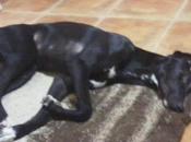 Tula, puede estar zona Sanlucar Cädiz)