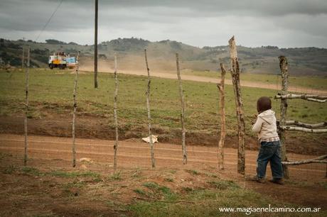 mirando copy Ludwala: la rutina de “lo rural”