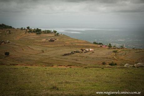 Ludwala: la rutina de “lo rural”