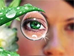 b5 b58 Vemos lo que comemos: Nutrición y salud visual