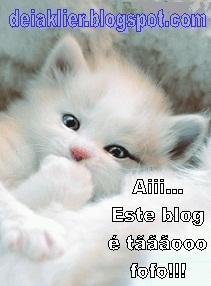 VICHYSSOISE Y LAS 50 SOMBRAS DE JOSE.