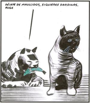 Nos piden fe y nosotros pedimos trabajo