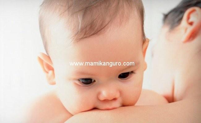 Creciendo Conectados: educando con apego