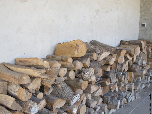 La casa de Marta y su troupe