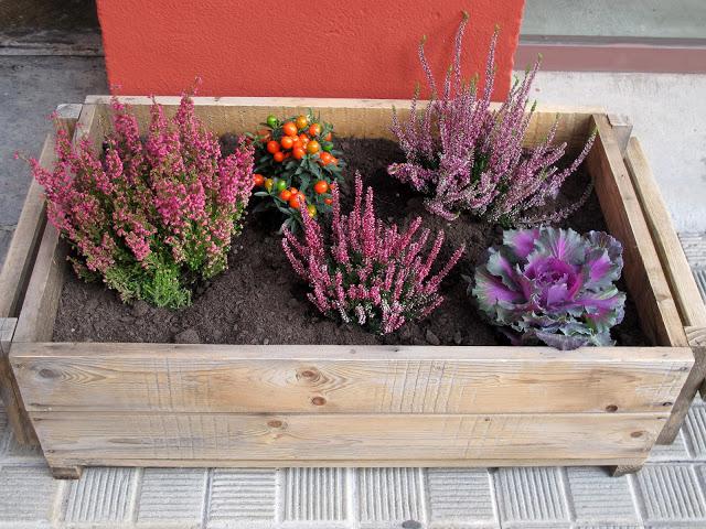 Inspiracion en mi ciudad