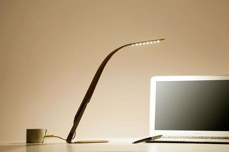 Orchid Lamp :: lámpara de escritorio