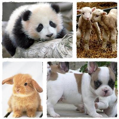 Things that make me smile