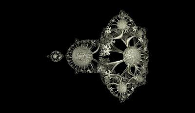 Formas de la naturaleza con fractales