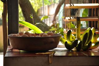 Amaranta Casa de Colibríes, (que lugar tán hermoso )