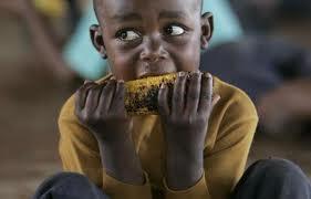 Consejos de alimentación para el hambre mundial
