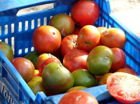 ¿Buscas plan para el domingo? ¡Un día en el campo!