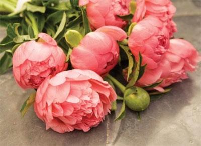 Ayer fue un día perfecto!!!! lleno de muestra de cariño q...