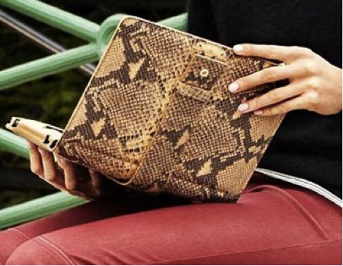 Funda para el Ipad de Jimmy Choo