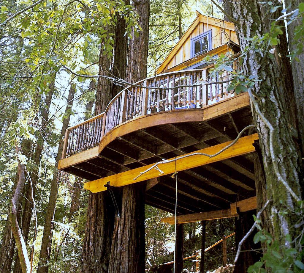 Viviendo en un árbol