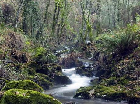 El etnocidio gallego