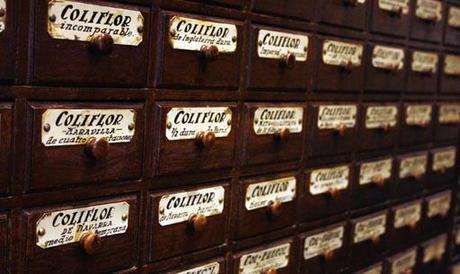 Moda & Visión en Óptica Toscana