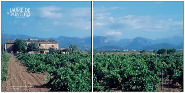 EL ESPÍRITU DEL VINO