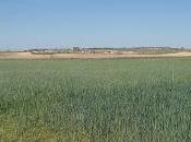 vida sencilla, muerte sencilla