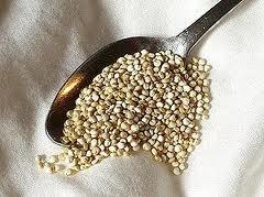q16 Quinoa: un pseudo cereal rico en proteinas, vitaminas y minerales (y sin gluten).