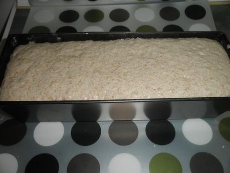 Pan grant (sin amasar)