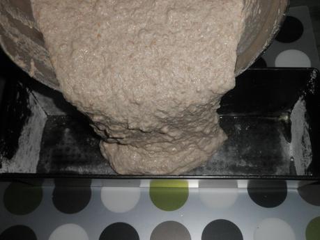 Pan grant (sin amasar)