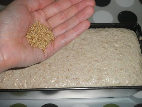 Pan grant (sin amasar)