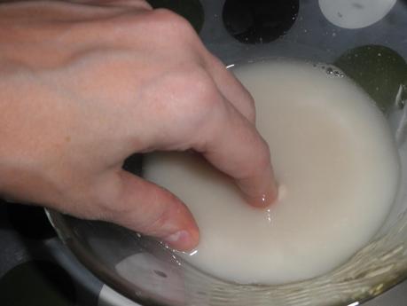 Pan grant (sin amasar)